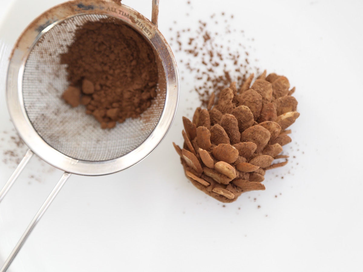 Dust almond scales with cocoa Dust almond scales with cocoa
