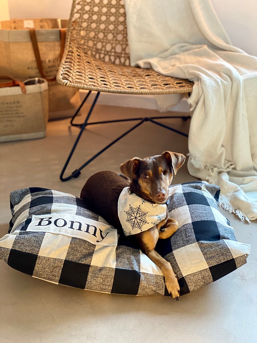 Bonny relaxes on a personalized dog bed