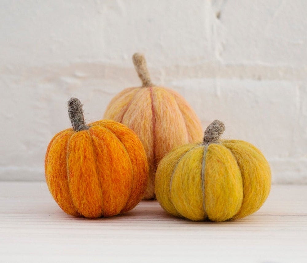 Pumpkin needle felting kit