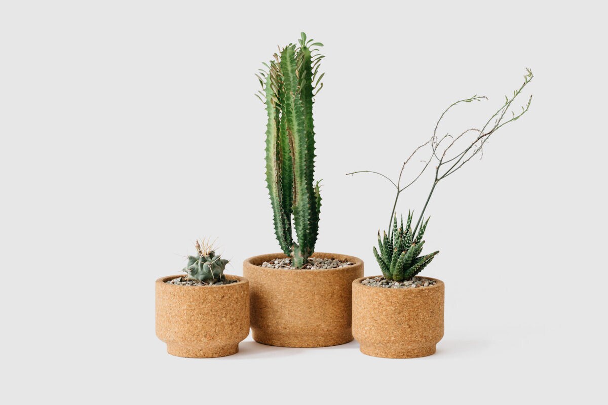 Trio of cork planters from Melanie Abrantes