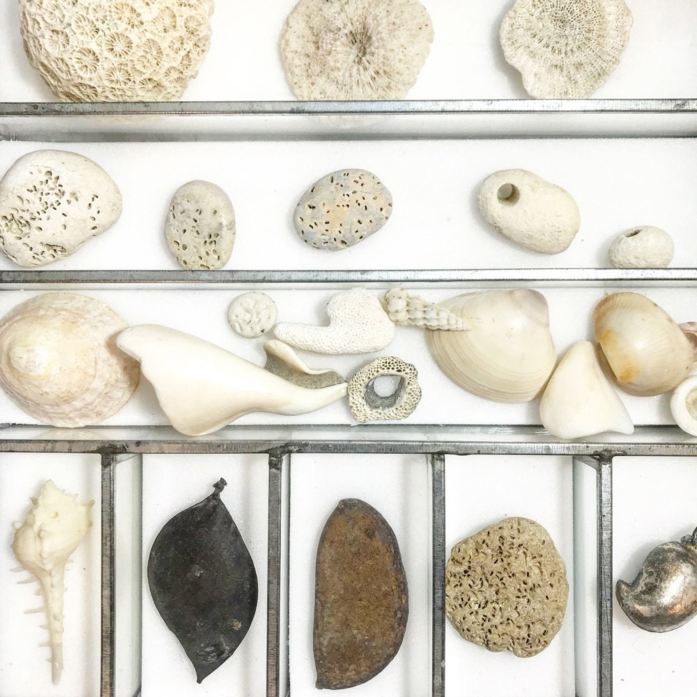 Various shells and natural artifacts