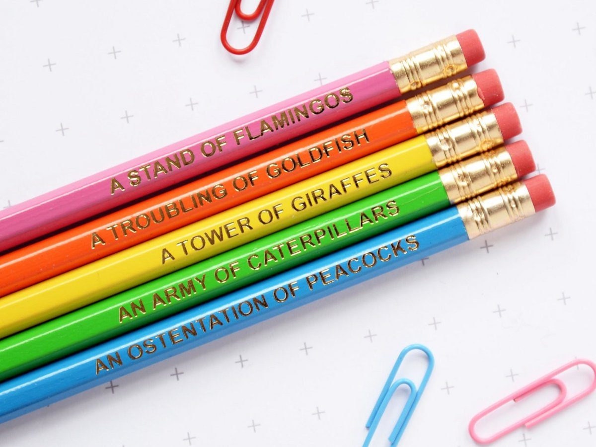 Neon rainbow-colored pencil set labeled with collective nouns for various animals