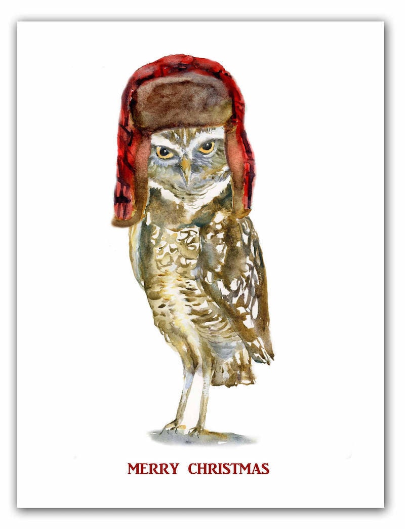 "Merry Christmas" owl card from Shirley Bell