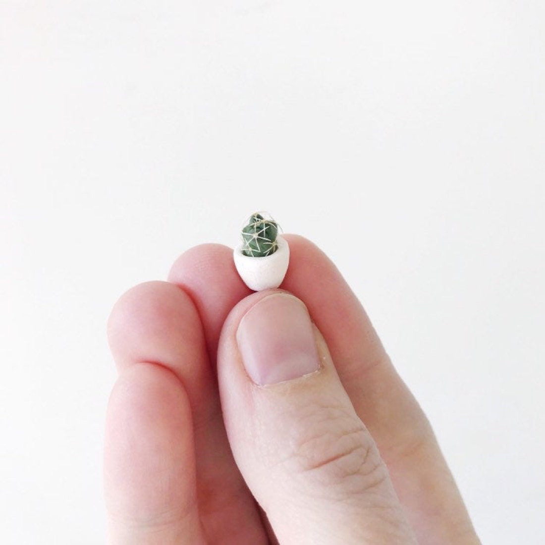 A miniature cactus planter from Tierra Sol Studio