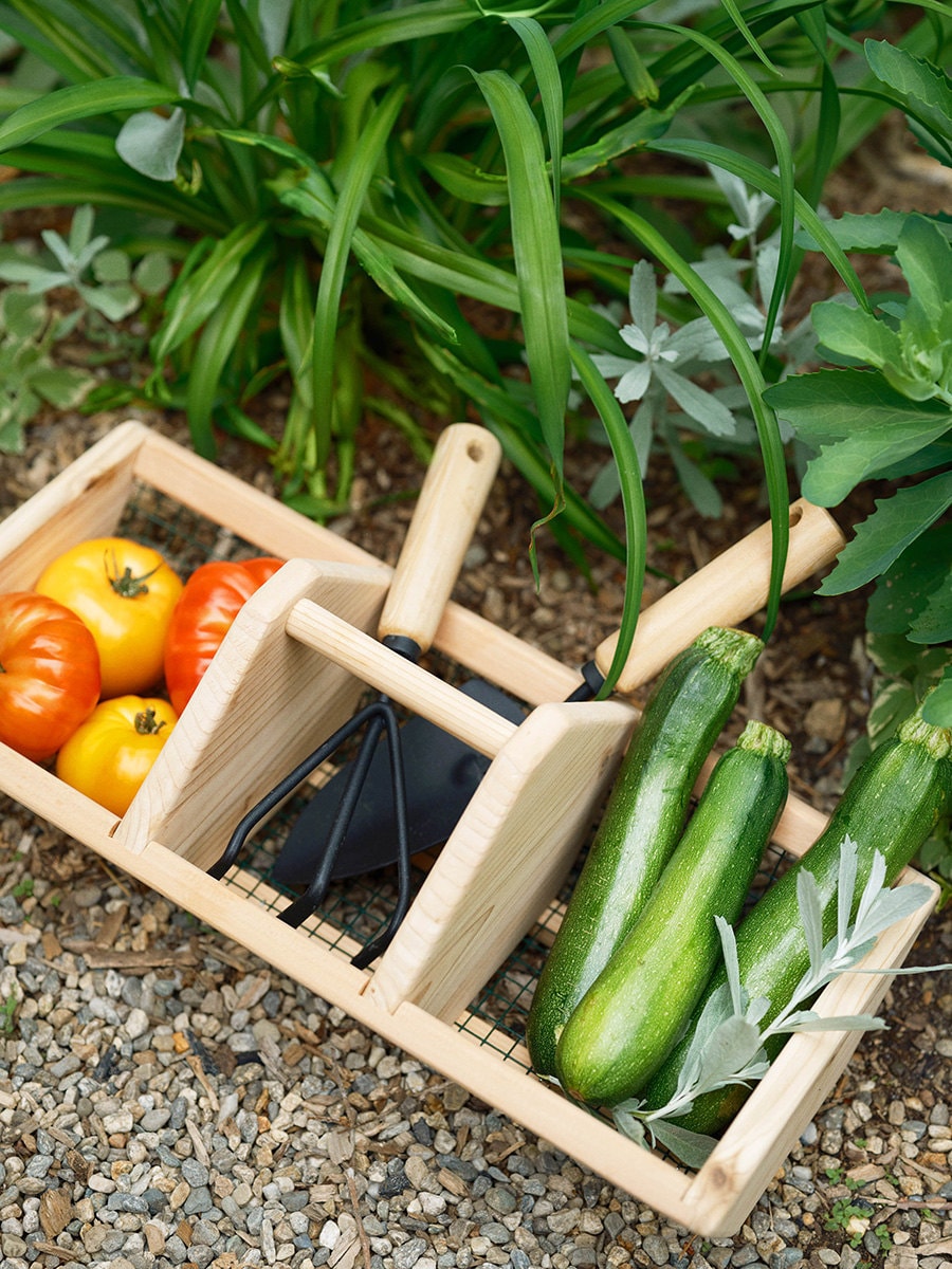 A basket and tools for gardening