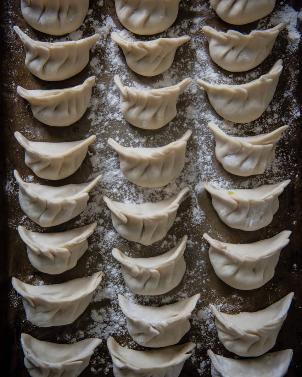 Dumplings arrayed on a tray