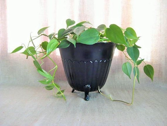 dewdropdaisies-painted-black-planter