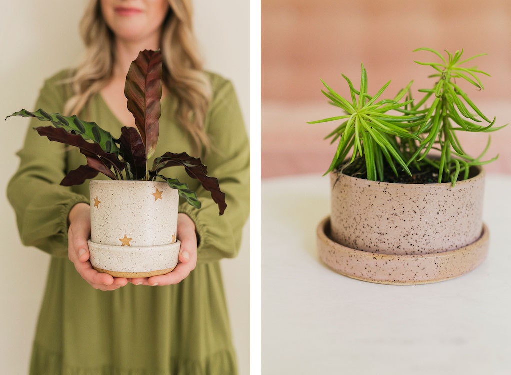 Assorted planters from the A Beautiful Mess x Etsy collection