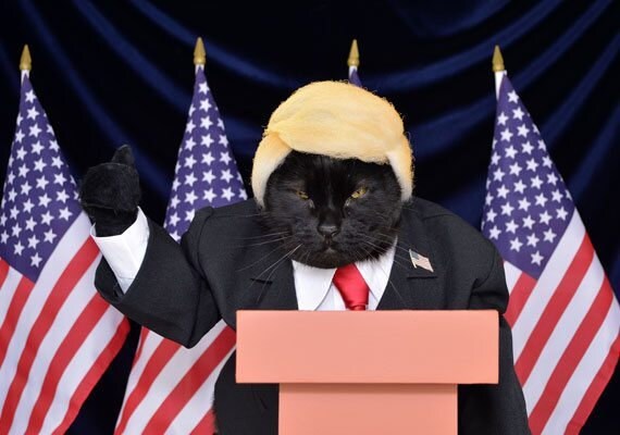 AC-as-Trump-001