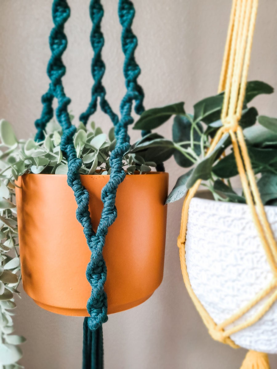 Detail on a colorful macrame hanging planter from Sweet Home Alberti