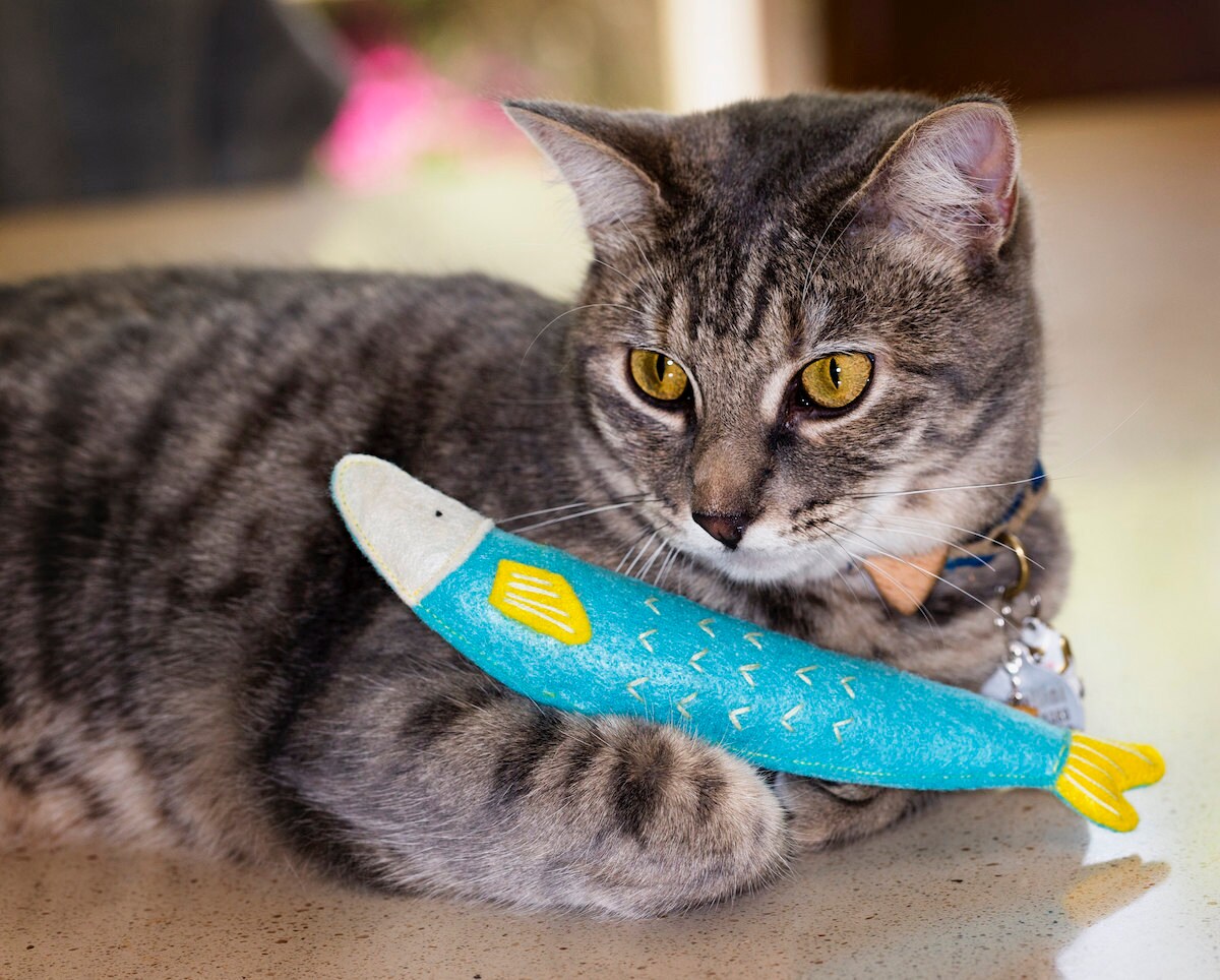 Catnip-stuffed sardine toy from Mini Tiger Design