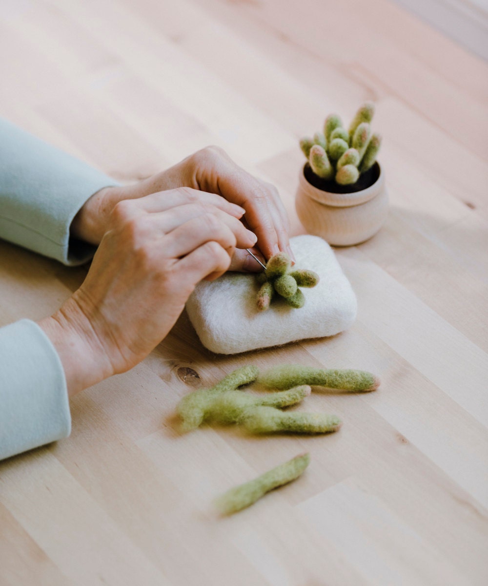 Elizabeth needle felts one of her succulent designs