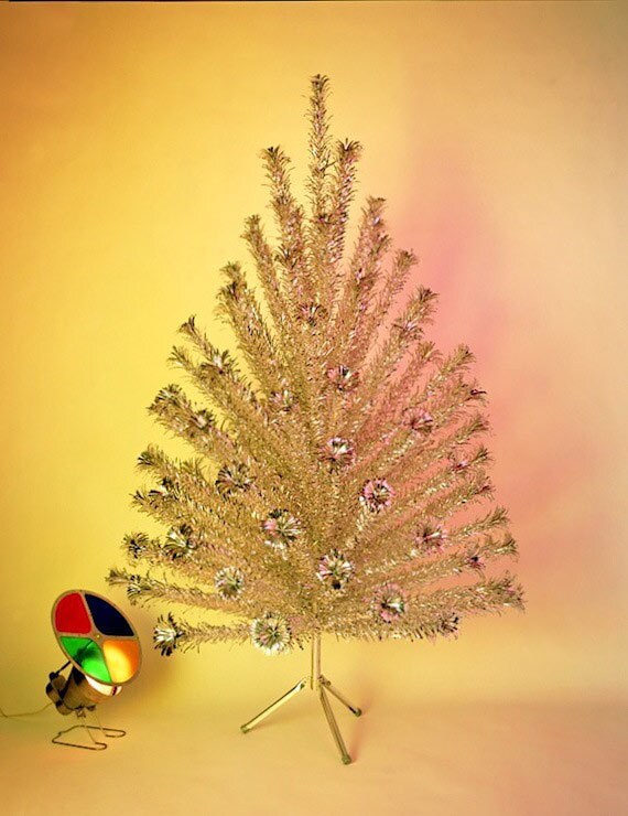 Tree with color wheel
