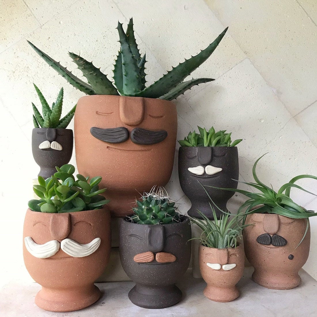 Mustache "moodie" planters from Aloe Frost