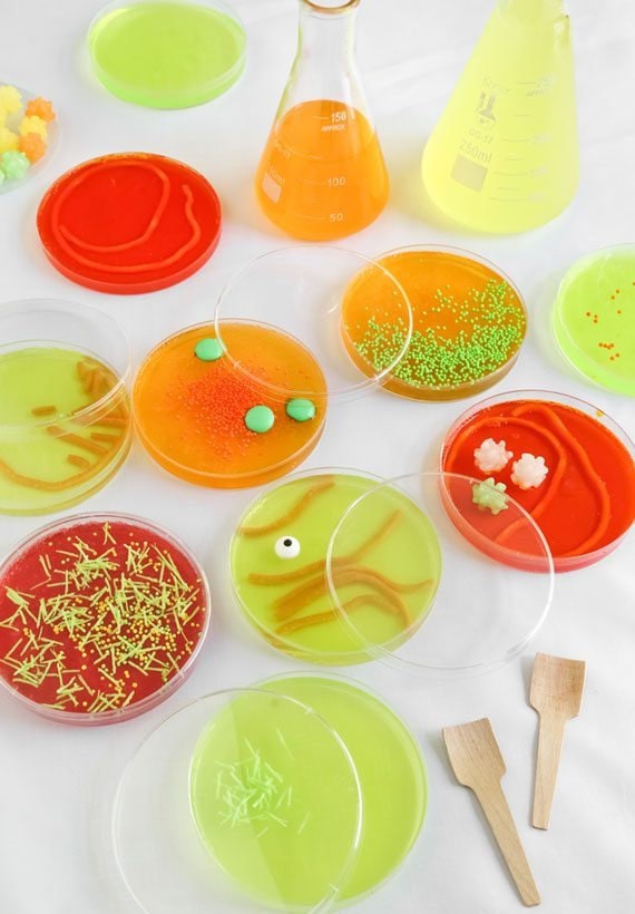 petri-dishes-final