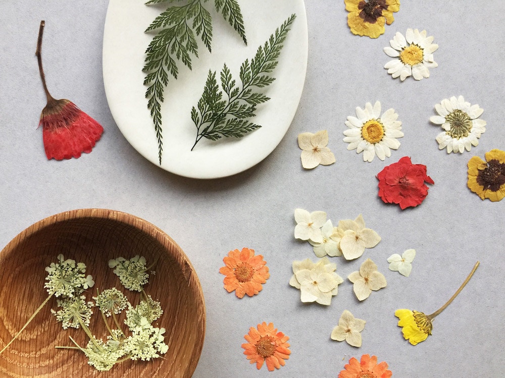 How to Make Festive PressedFlower Coasters Etsy
