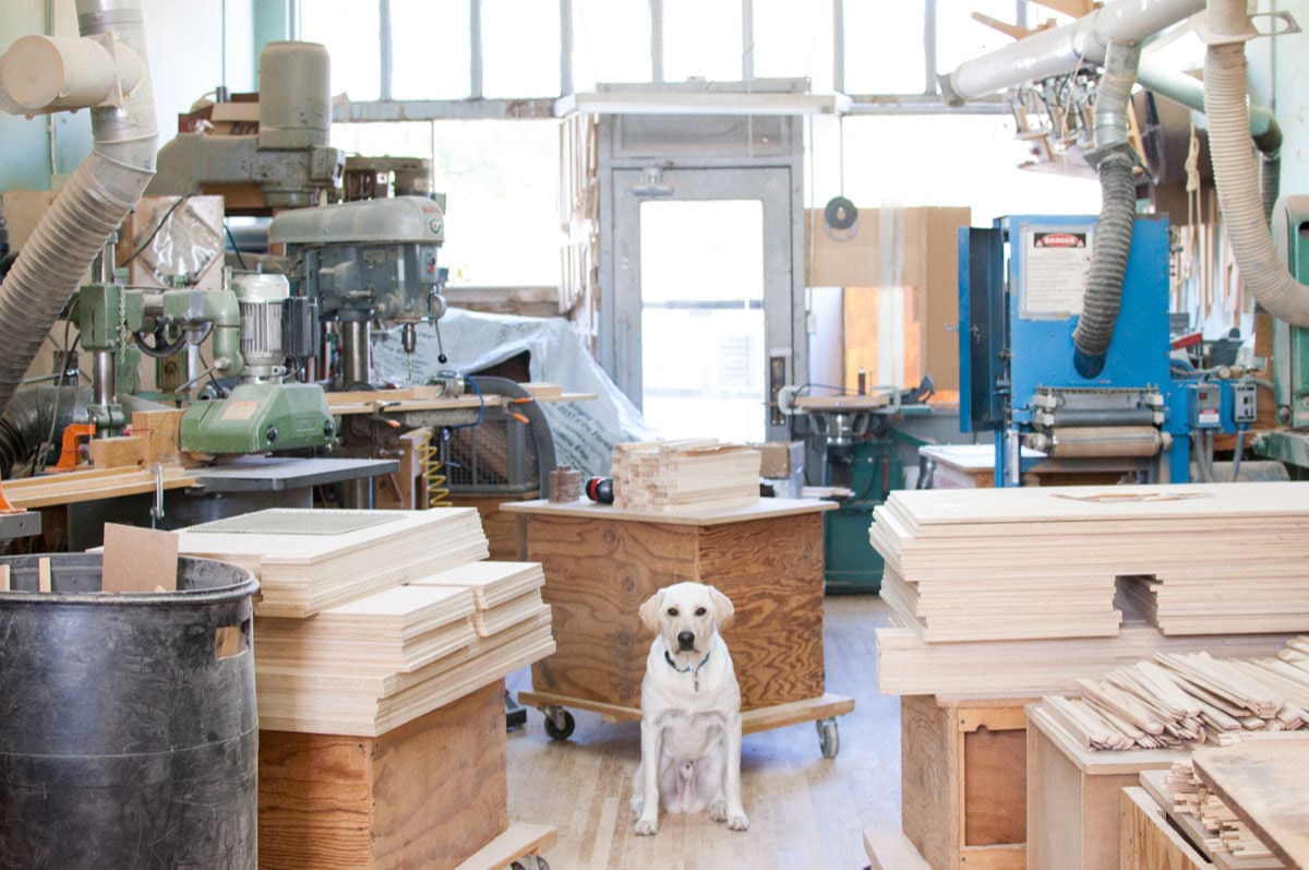 Ashley's pup poses in the loom workshop.