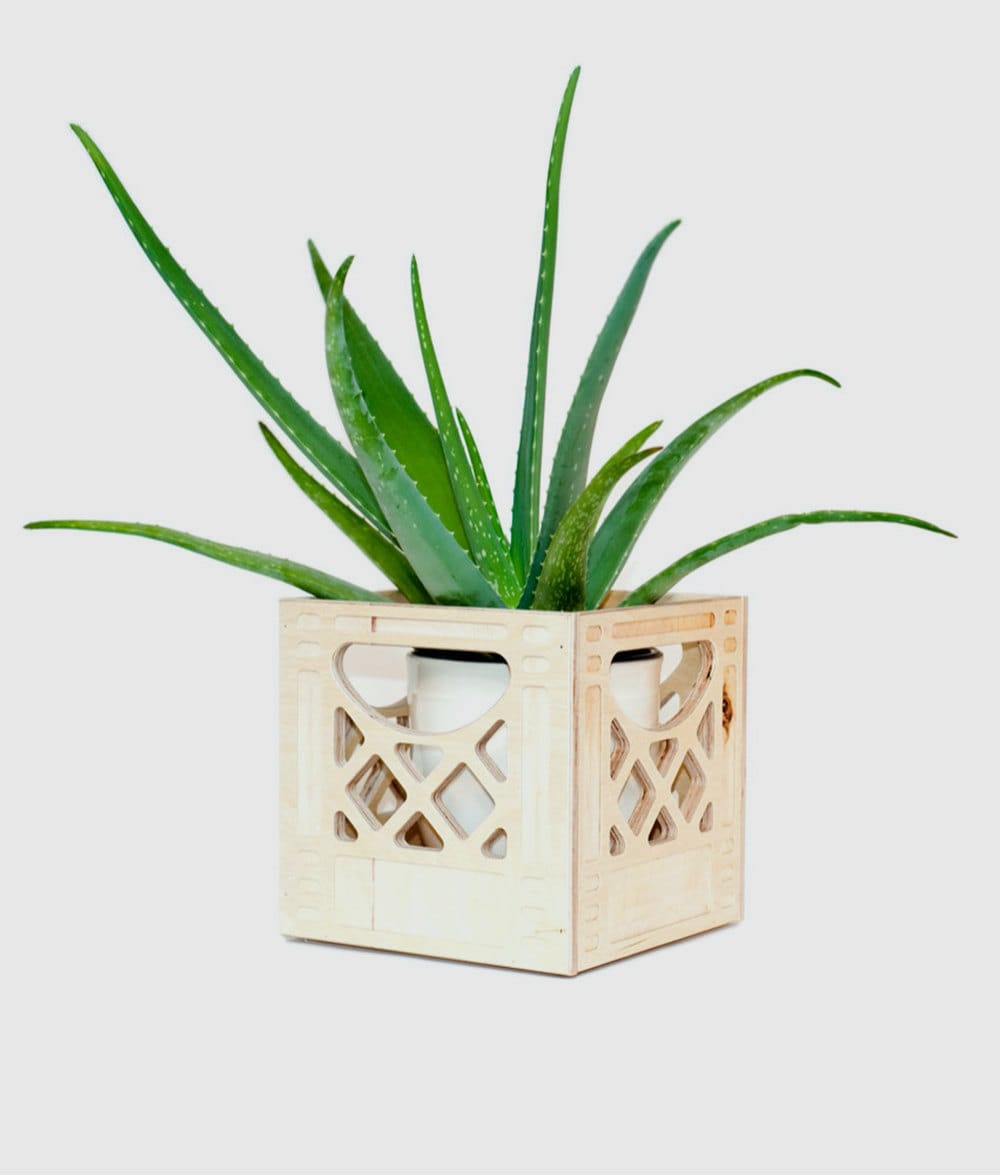 A mini wood crate planter from WAAM Industries