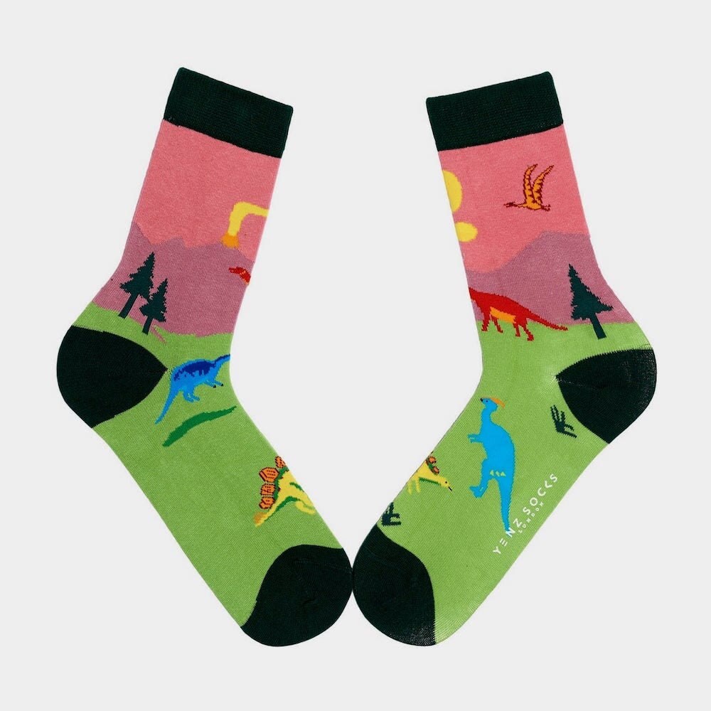 A pair of dinosaur socks from Yenz