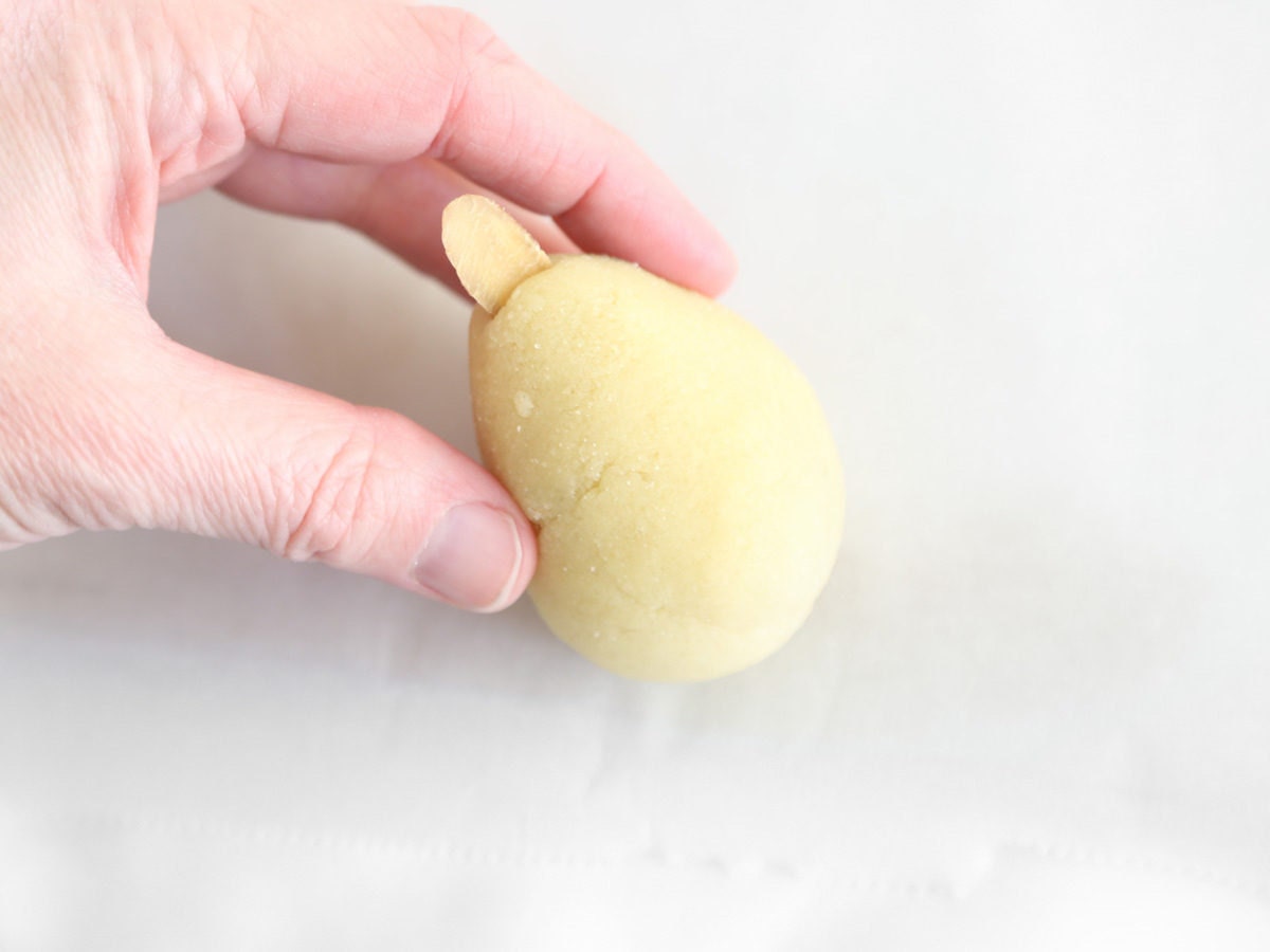 Step 2 - Add almond scales Step 2 - Add almond scales
