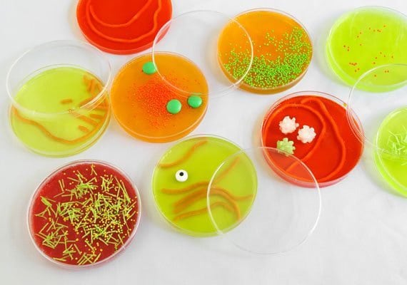 petri-dish-finished