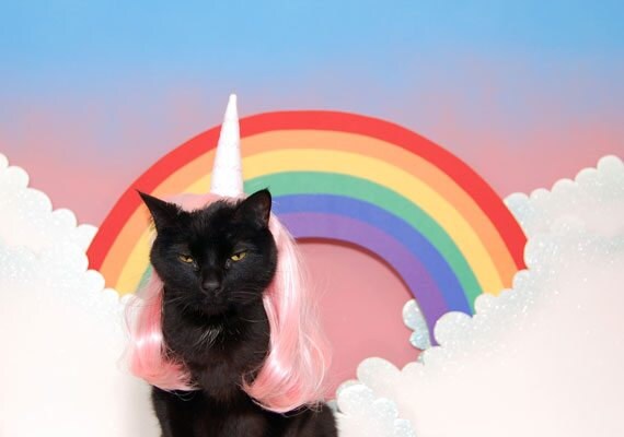 AC-is-a-Unicorn-002