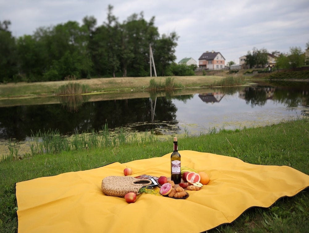 Waterproof picnic blanket from PIDSTYLAI