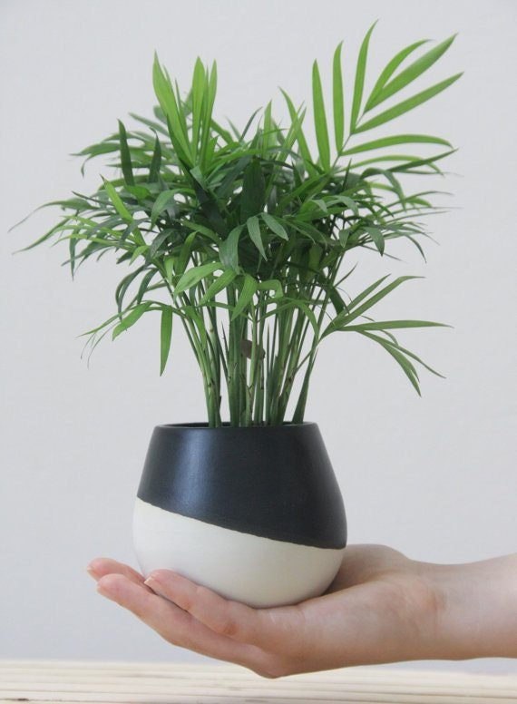 oneandmany_ceramic-planter
