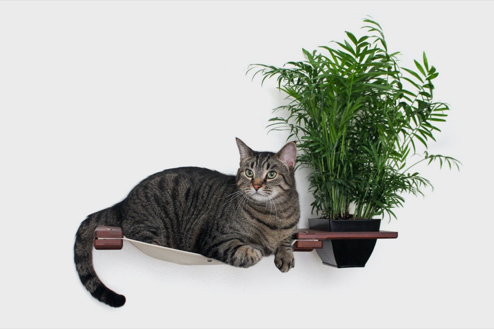 A cat hammock with planter from CatastrophiCreations