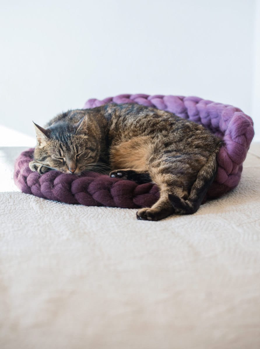 a cozy handmade cat bed