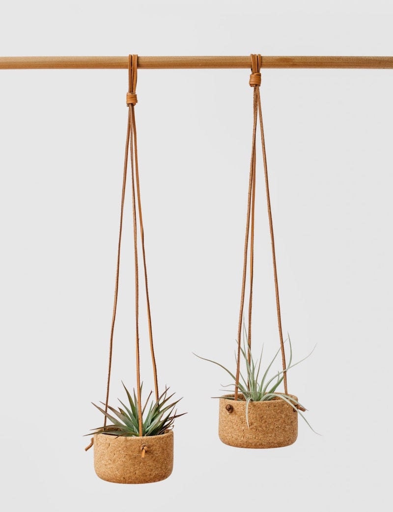 Two cork hanging planters holding air plants