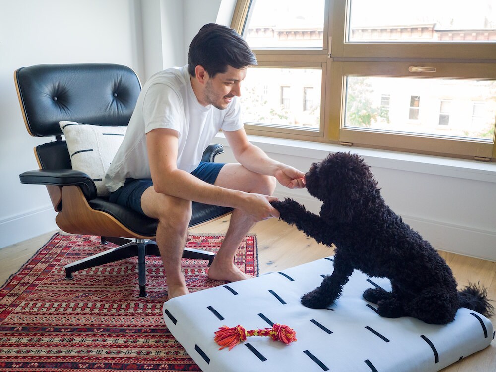 A man and his dog model their matching pillow and dog bed.