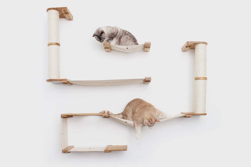 A wall-mounted cat tree from CatastrophiCreations