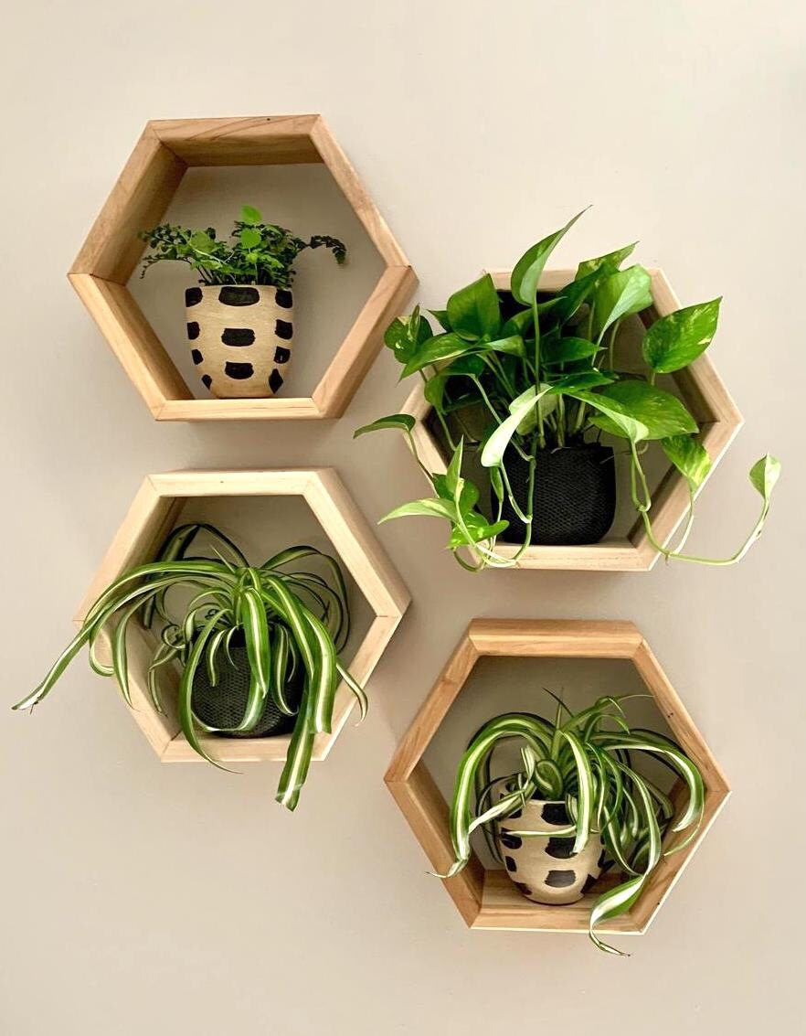 Honeycomb shelves from Crafted Glory on Etsy