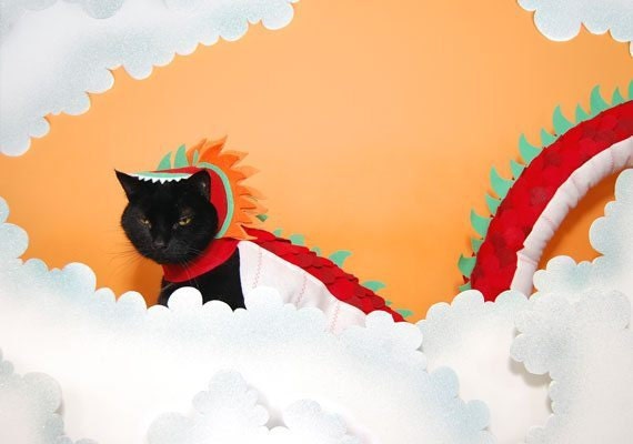 ac-dragon