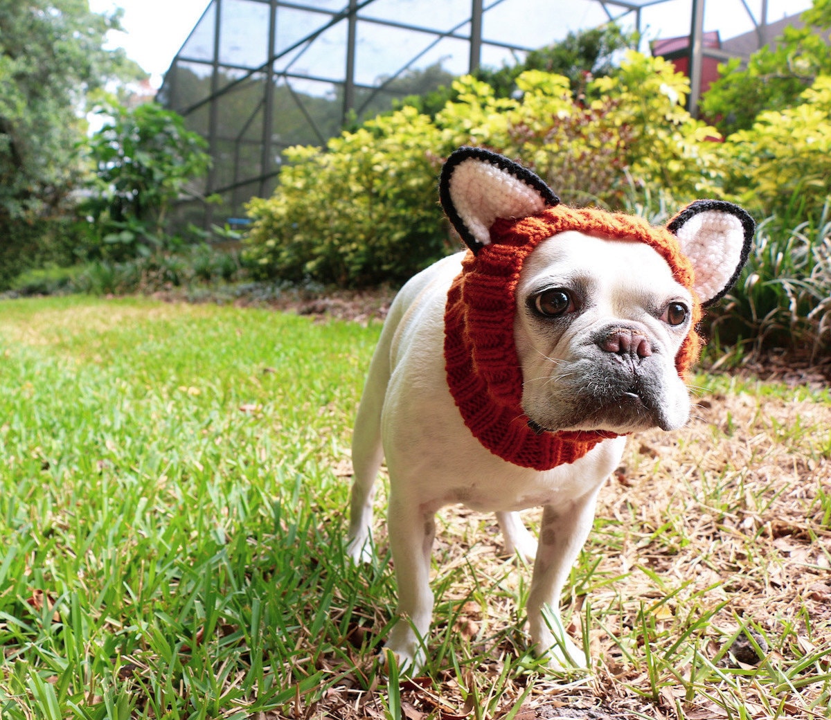 Knit fox snood from Zoo Snoods