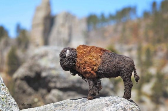 bearcreek-buffalo