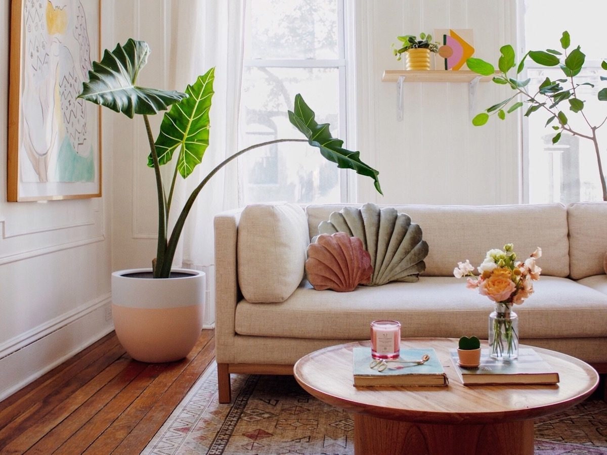 Mallory Fletchall's bright and cheerful living room