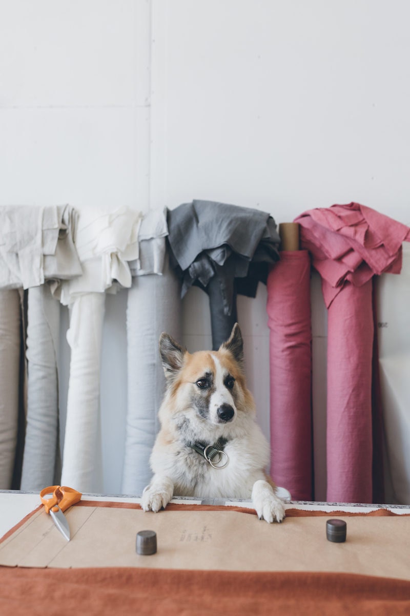 The Linenfox studio dog poses with rolls of fabric