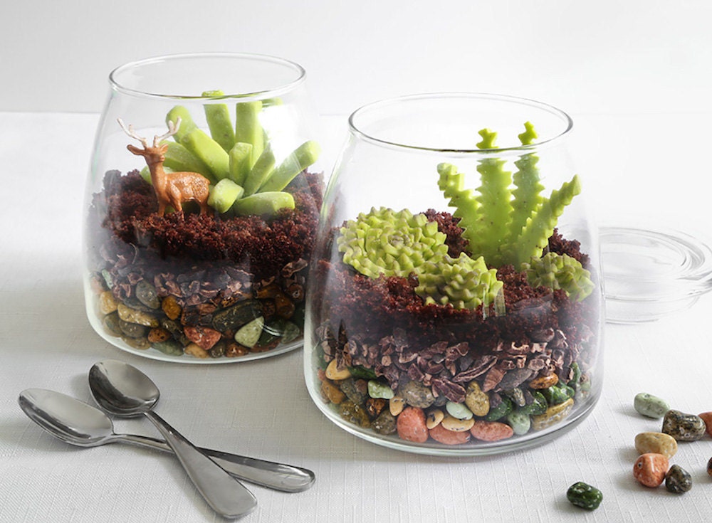 DIY edible terrarium project by Heather Baird