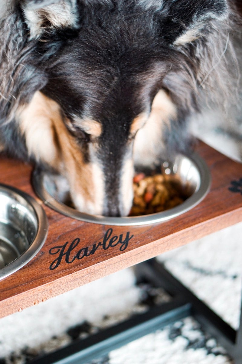 Personalized double dog bowl stand from Davenport Dogs