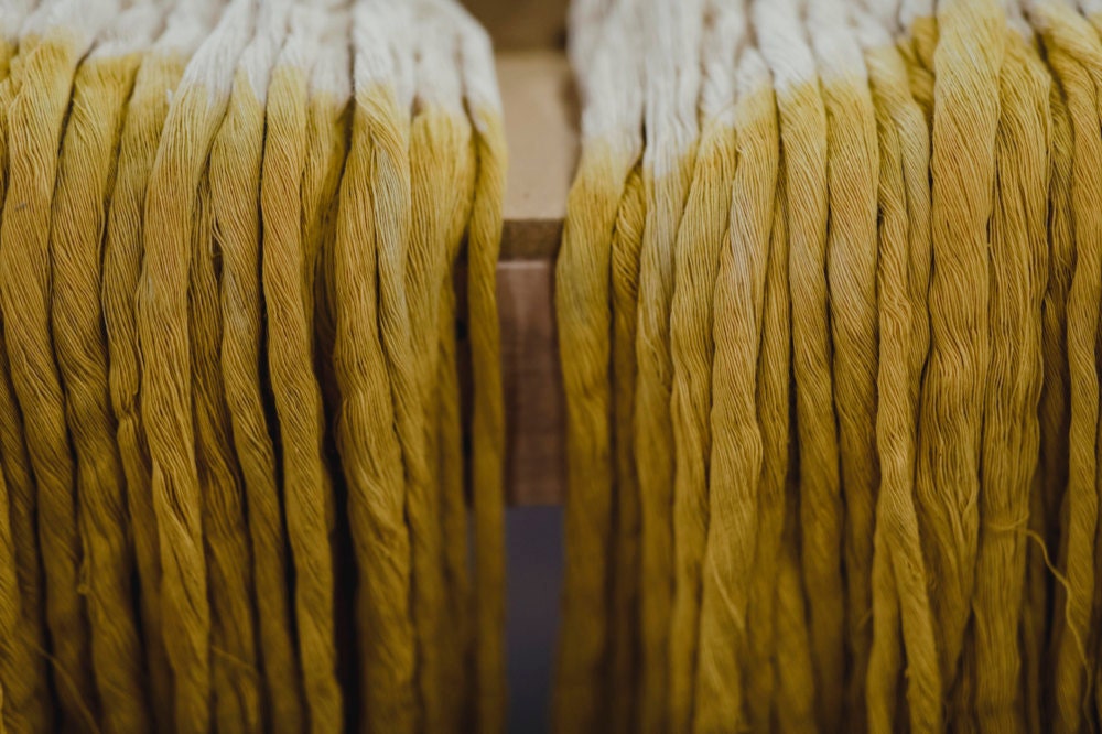 A close-up of dip-dyed yellow fibers