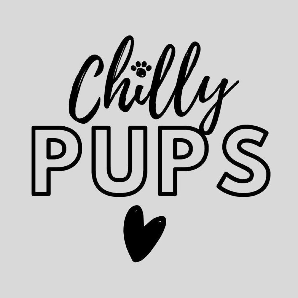 Teacup Puppy Harness, 2 to 3 Lb Tiny Dog XXS, Soft Cotton Denim Vest w