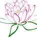 Pink Lotus Natural Care