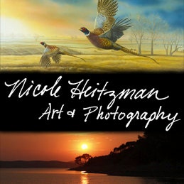 NicoleHeitzmanArtAndPhotography