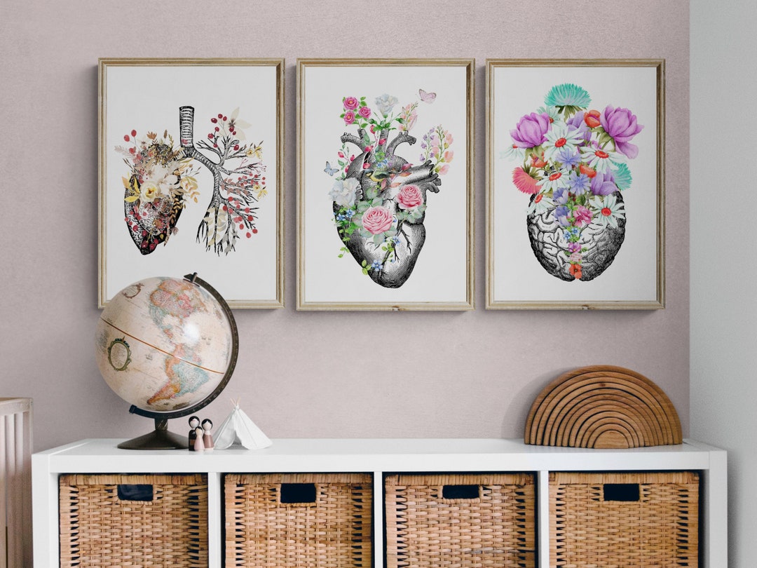 Medical Anatomy Art Prints Medical Office Wall Decor Nurse Etsy