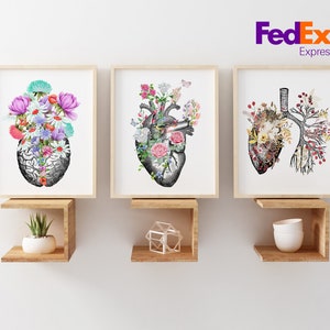 Puede incluir: Tres impresiones enmarcadas con ilustraciones anat&oacute;micas del cerebro, el coraz&oacute;n y los pulmones. Cada ilustraci&oacute;n est&aacute; llena de flores coloridas y vegetaci&oacute;n.