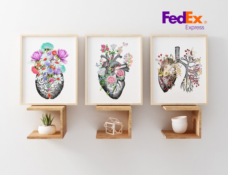 Puede incluir: Tres impresiones enmarcadas con ilustraciones anat&oacute;micas del cerebro, el coraz&oacute;n y los pulmones. Cada ilustraci&oacute;n est&aacute; llena de flores coloridas y vegetaci&oacute;n.