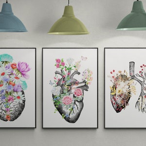 Medical Anatomy Art Prints Medical Office Wall Decor Nurse - Etsy