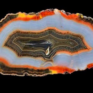 Printable  photograph of unique Condor agate  collector specimen